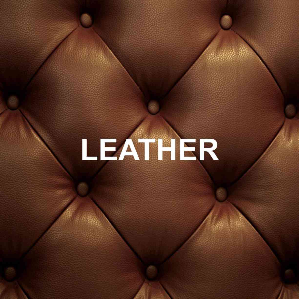 Leather Industry